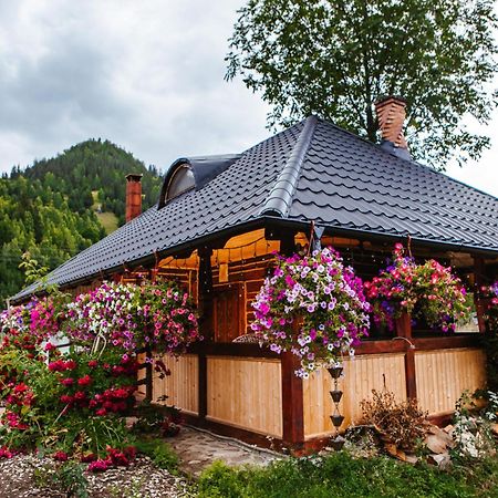 ホテル Casa Baciu フンドゥ・モルドベイ エクステリア 写真