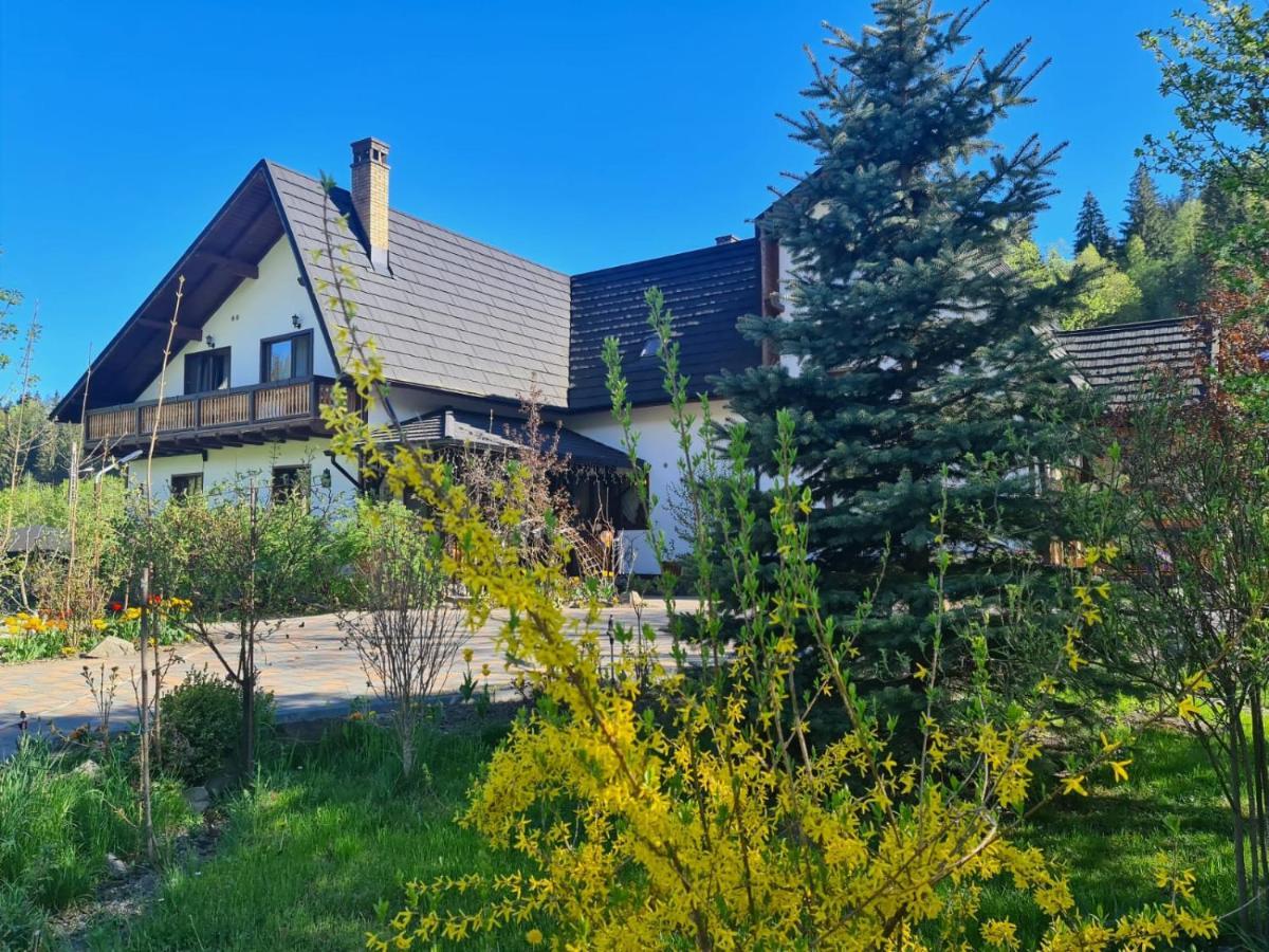 ホテル Casa Baciu フンドゥ・モルドベイ エクステリア 写真