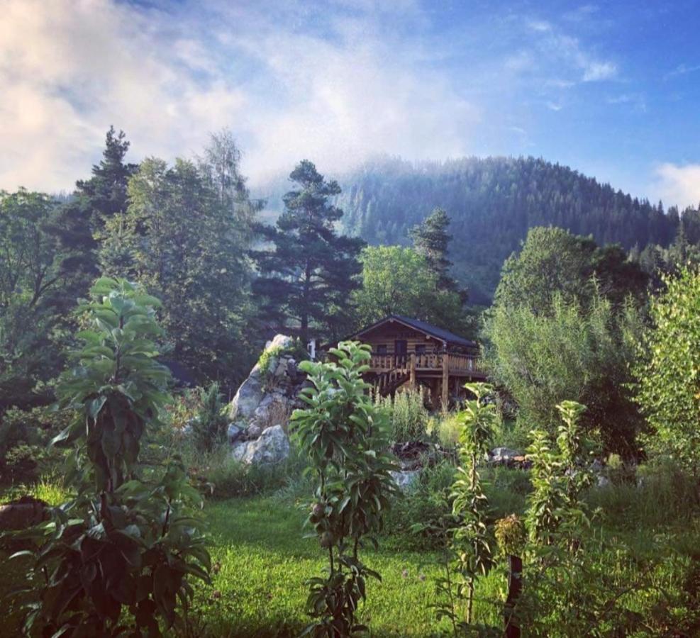 ホテル Casa Baciu フンドゥ・モルドベイ エクステリア 写真