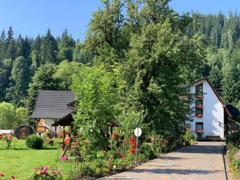 ホテル Casa Baciu フンドゥ・モルドベイ エクステリア 写真