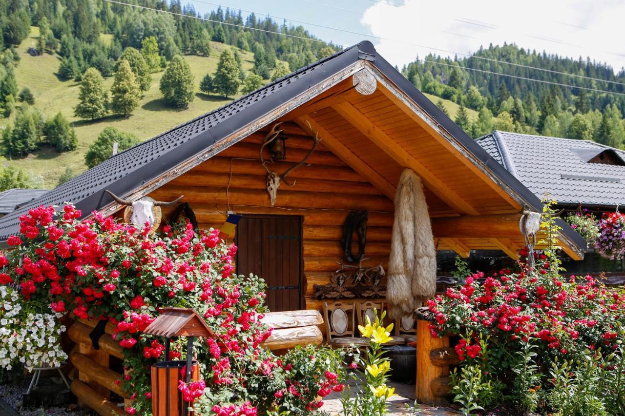 ホテル Casa Baciu フンドゥ・モルドベイ エクステリア 写真